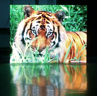 雷曼光電LM-P6全彩戶內廣告顯示屏